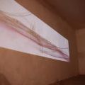 IMG_SRC_40