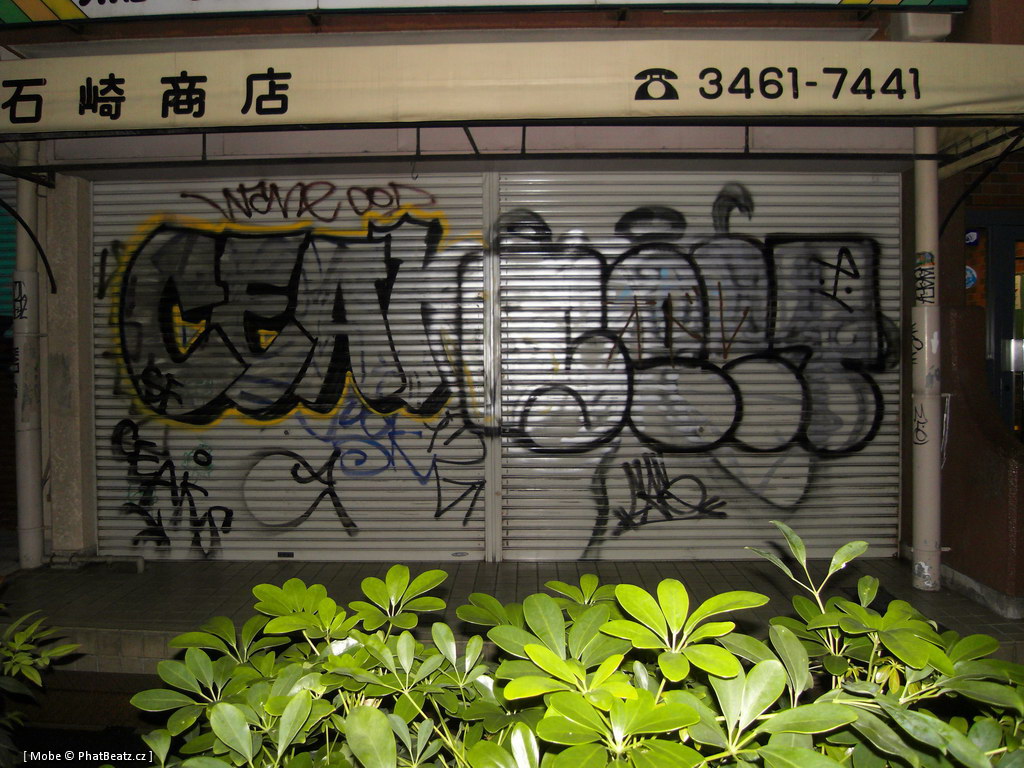 Japonsko2011_042