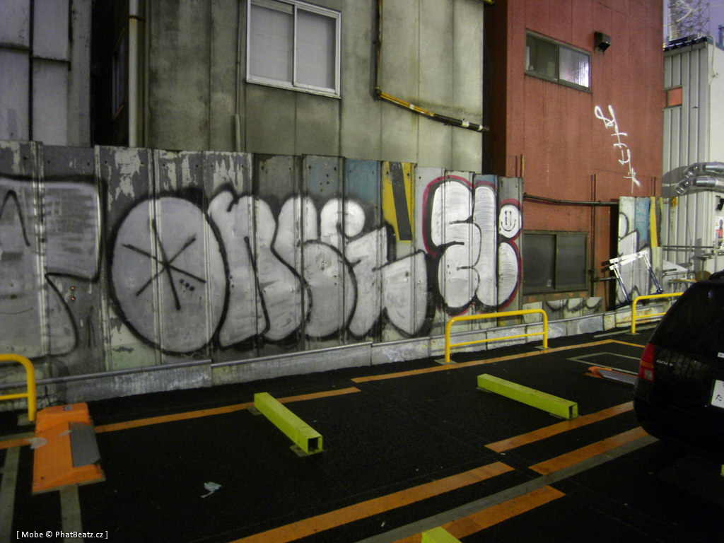 Japonsko2011_122