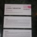 Louka_0001