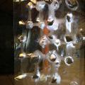 Louka_0003