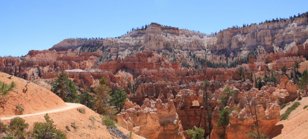 Middle_054