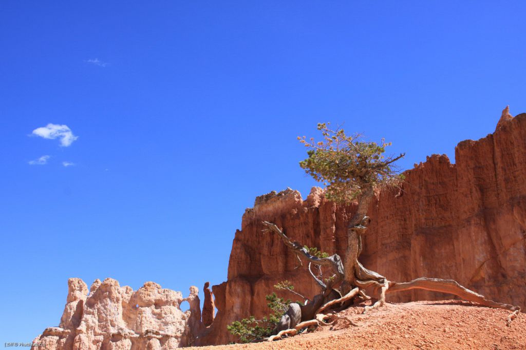 Middle_056