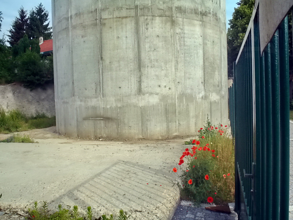 NaOctarne_05