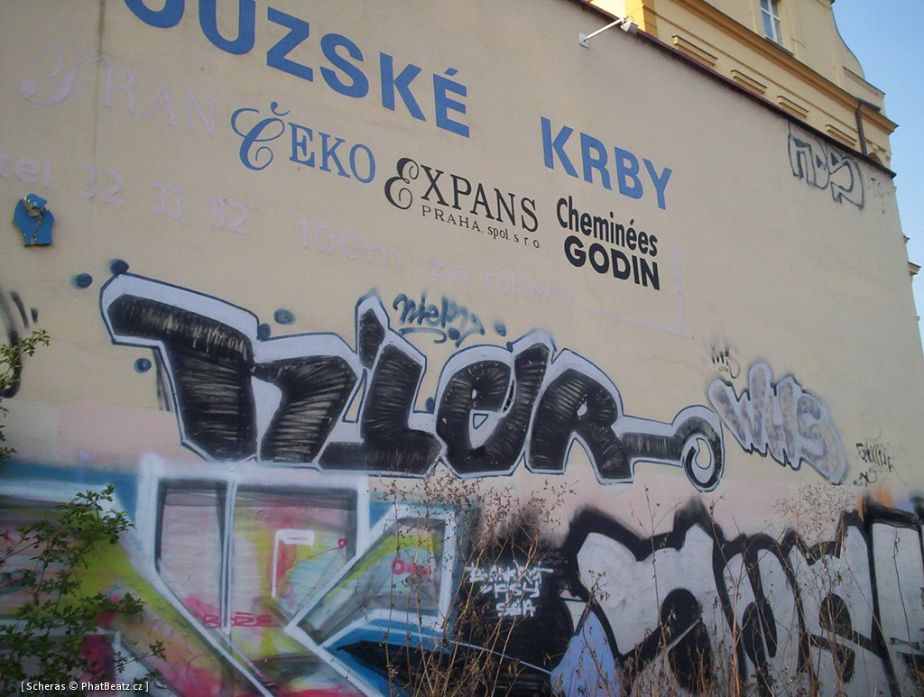 P6_Koridor_31