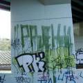 Palmovka-koridory_20