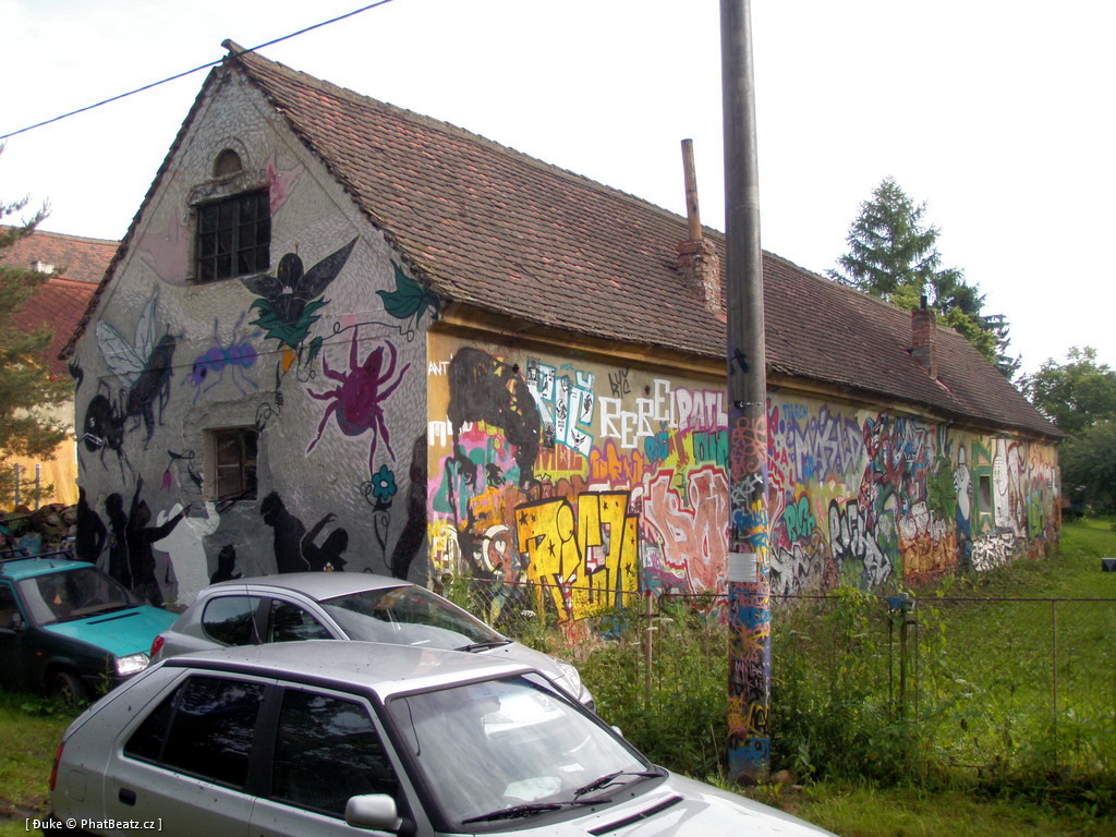 PunxPicnic2010_01