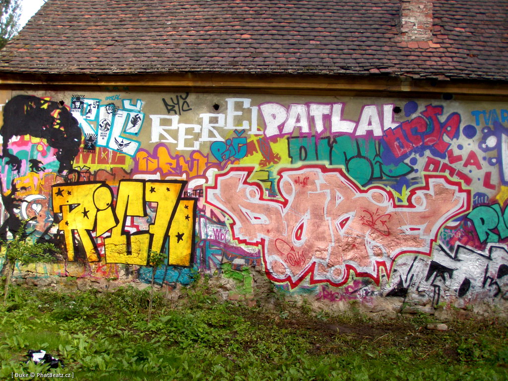 PunxPicnic2010_02