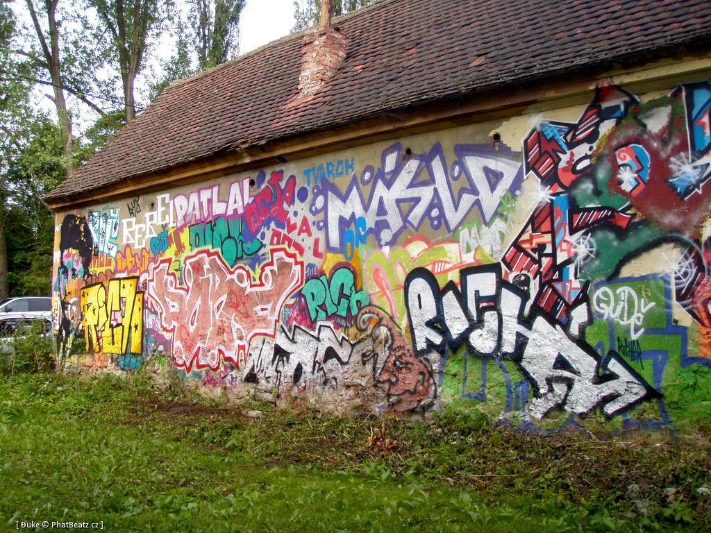 PunxPicnic2010_03