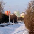 Renneska_48