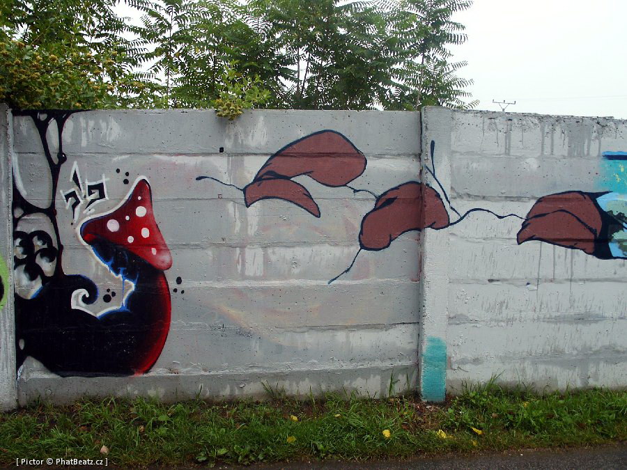 Senec_22