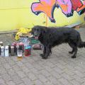 Skillz2010_15