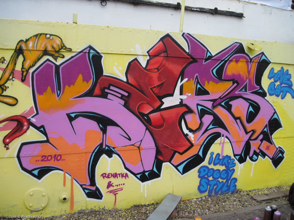 Skillz2010_18