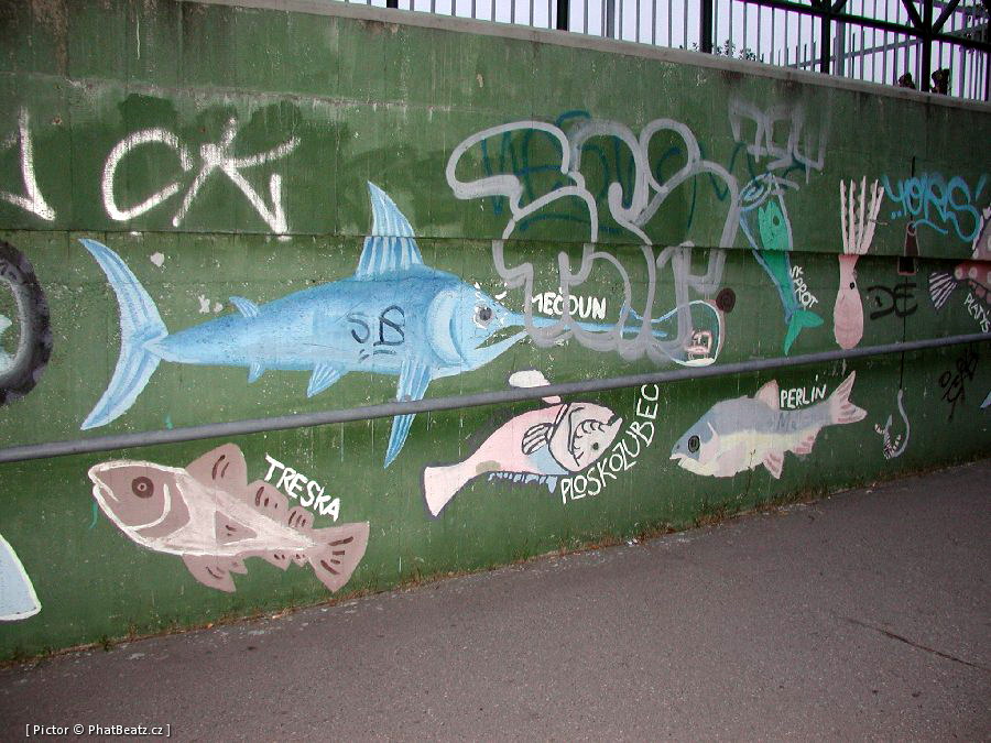 Sporilov_05