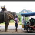 THAILAND2011_156