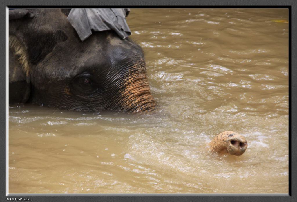 THAILAND2011_157