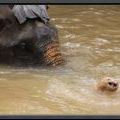 THAILAND2011_157