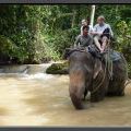 THAILAND2011_158