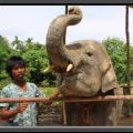 THAILAND2011_160