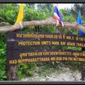 THAILAND2011_170