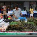 THAILAND2011_193
