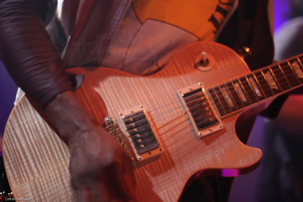 TheRoots_0011