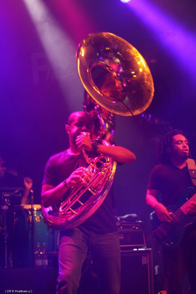 TheRoots_0012