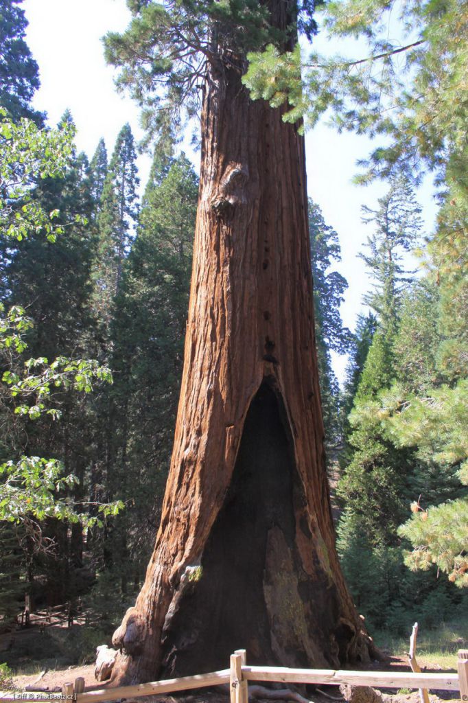USA-West_047