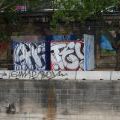Viden_23