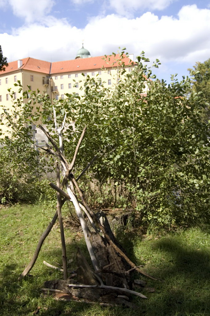 Vita (CZ)
