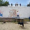YARD5_JAM_2_030