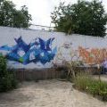 YARD5_JAM_2_051