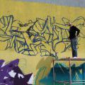 YARD5_JAM_2_054