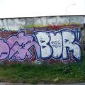 barr_039