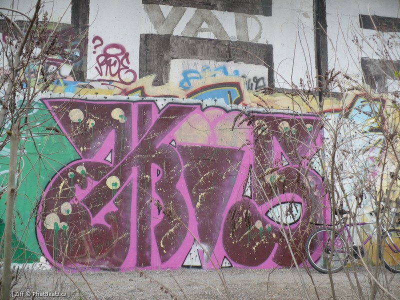 bgraff_66