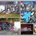 eZINE0113