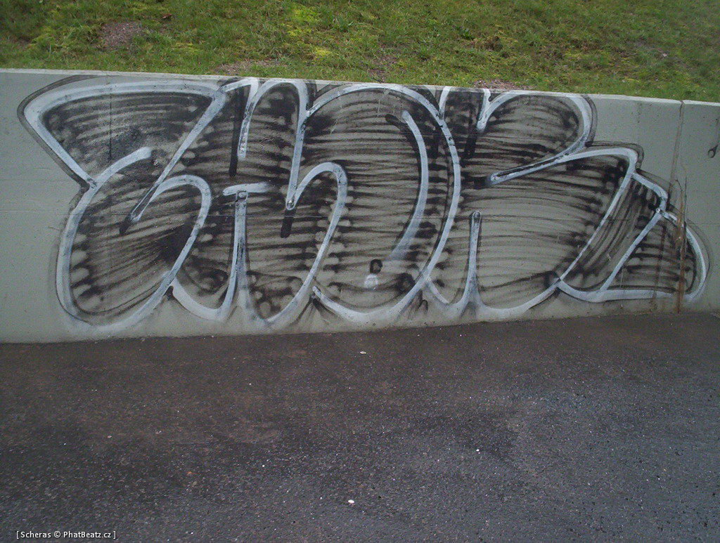 p6_019
